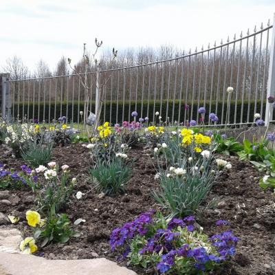 Flower Bed In Village Park