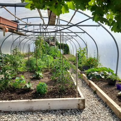 Kildorrery Community Garden 02