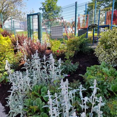 Kildorrery Flowerbeds 01