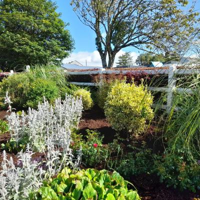Kildorrery Flowerbeds 03