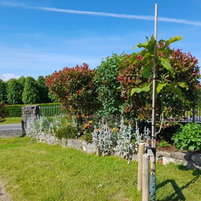Kildorrery Village Park Corner