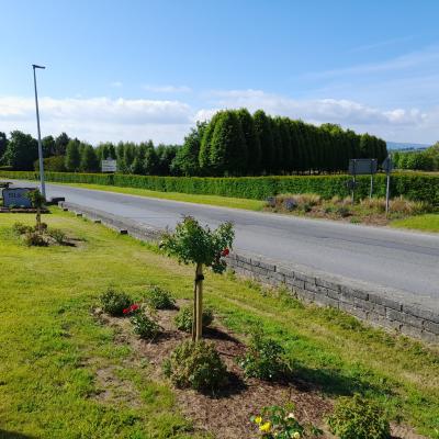 Kildorrery Village Park Planting